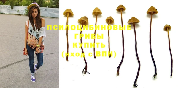 не бодяженный Верея