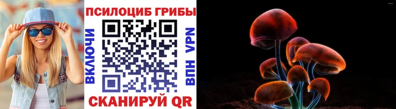 наркошоп  Карачев  Галлюциногенные грибы Magic Shrooms 